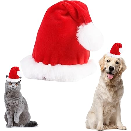犬 サンタクロース 帽子 Lucumo Com Pe