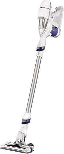 Rowenta Air Force 360 All Floors & Plus Aspirateur Balai
