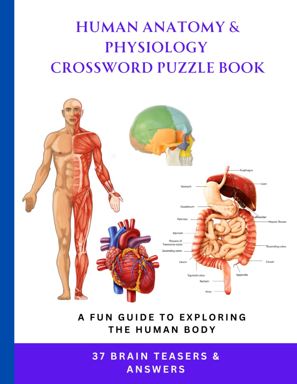 Human Anatomy & Physiology Crossword Puzzle Book: A Fun Guide to Exploring the Human Body