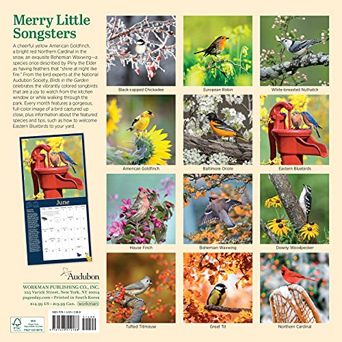 Audubon Birds In The Garden Wall Calendar 2022 #TOP1