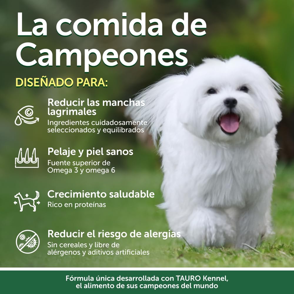 Nature's Protection Superior Care Pienso hipoalergénico, Salmón 10 kg | Digestión suave para estómagos sensibles, Reduce el riesgo de alergias, Sin cereales, Perros adultos, todas las razas