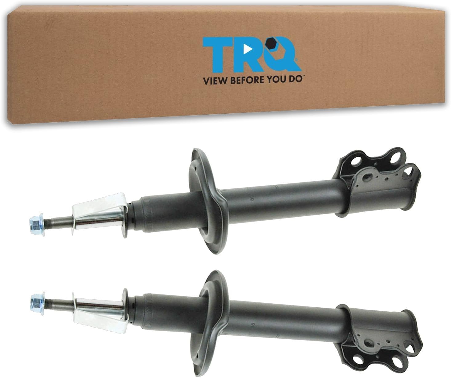 TRQ Rear Strut Assembly Set Compatible with 1991-1992 Saturn SC 1993-2002 SC1 SC2 1991-2002 SL SL1 SL2 1993-1999 SW1 1993-2001 SW2