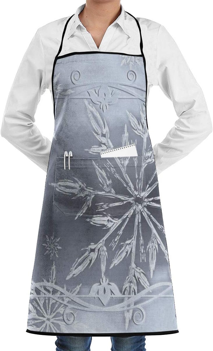 chef stella del ghiaccio