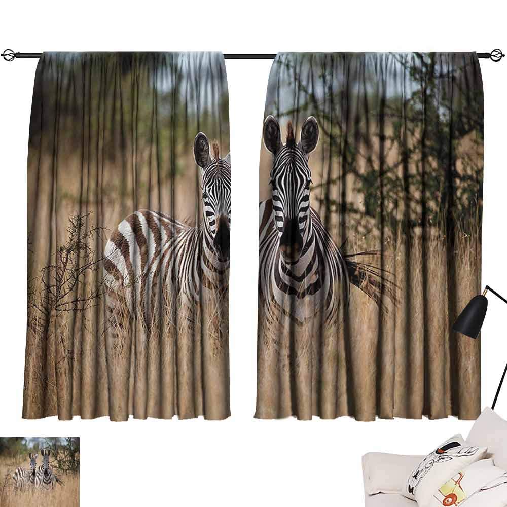 Zebra Curtains At Target Curtains & Drapes 2025