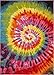 Tie Dye Retro Rainbow Trippy Multi Hippie Red Orange Yellow Green Modern Painting 5x7 (5'3