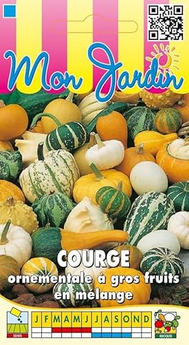Sachet de graines de Courge ornementale à gros fruits en mélange - 3 g - légume décoratif - LES GRAINES BOCQUET