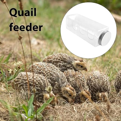 HEAVYSEVEN Transparent Feeder Feed Box Seed Food Container.Quail Feeder, Rutin Chicken Feeder, Quail Feeder Box,Bird Feeder Bowl, Parrot Feeder Tank (C)