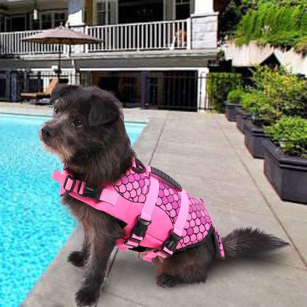 CITÉTOILE Gilet de Sauvetage pour Chien avec Poignée Rose Écailles M | Gilet de Flottaison pour Chien avec Réfléchissant, Veste Flottante pour Chien avec Bonne flottabilité, Les Sports Nautiques