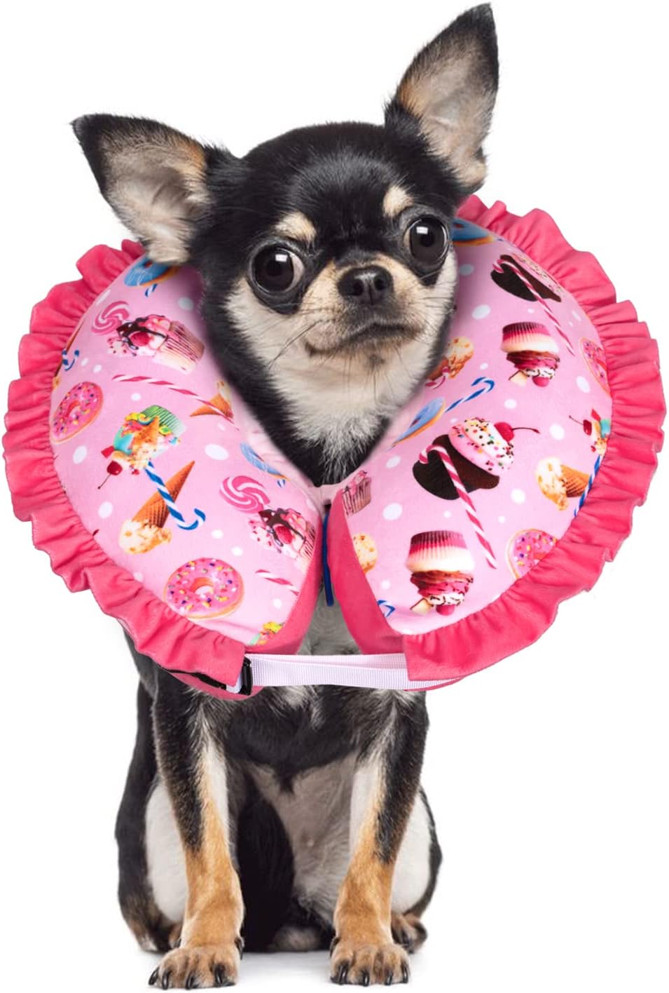 CuteBone Inflatable Dog Collar Alternative for Small/Medium Dogs After Surgery