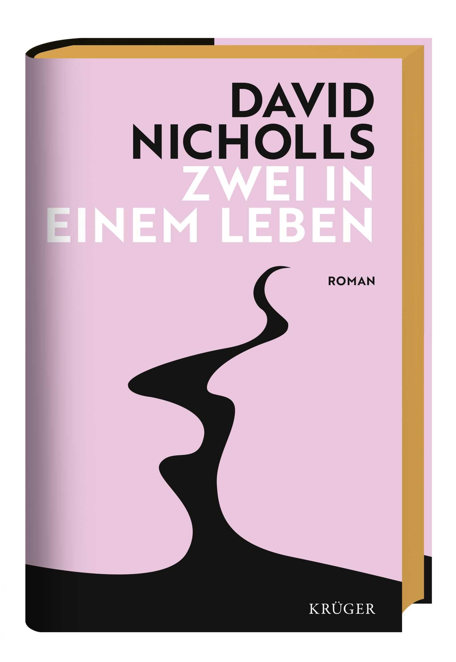 Zwei in einem Leben: Roman | Der neue große Liebesroman vom 'Zwei an einem Tag'-Autor