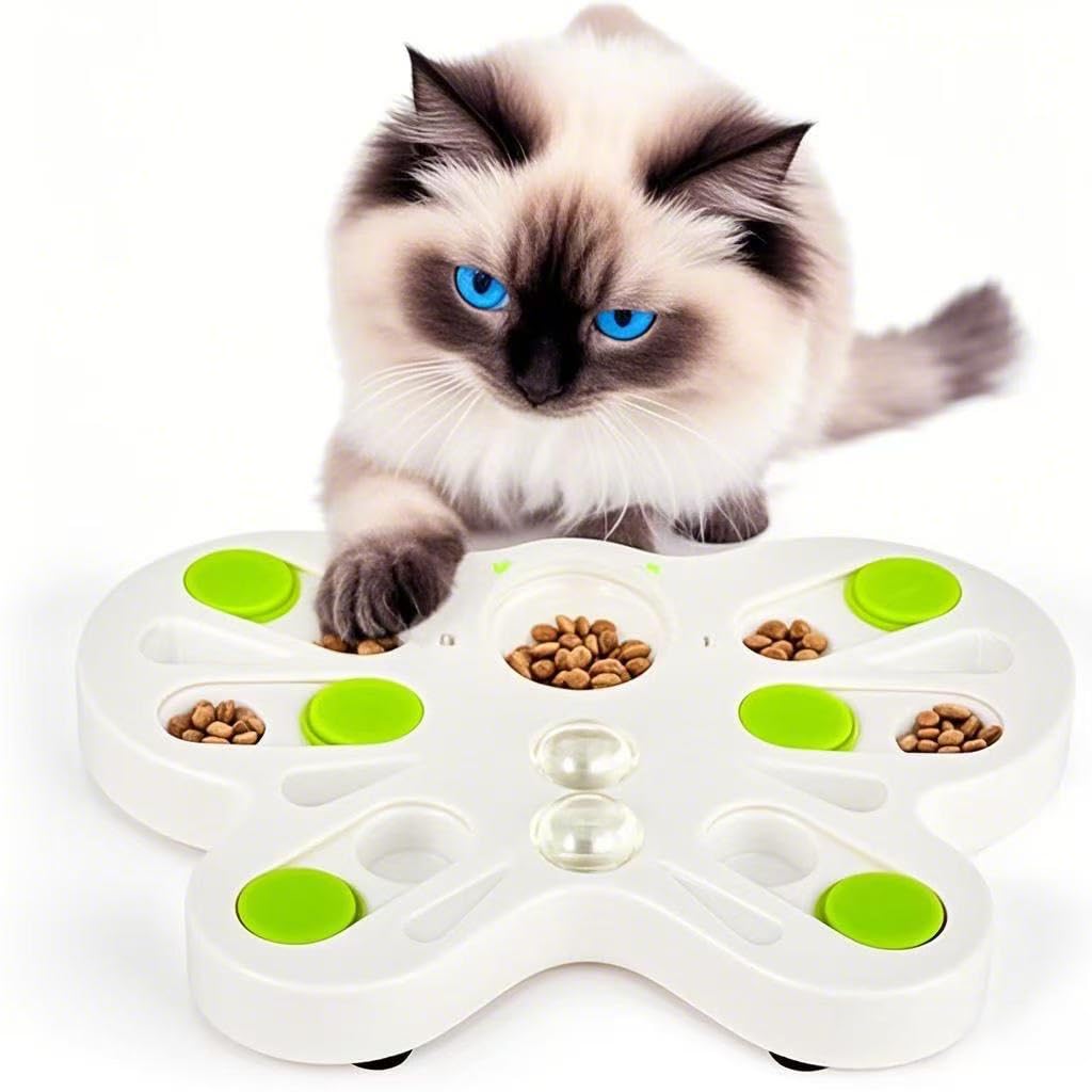 ALL FOR PAWS Katzen-Intelligenzspielzeug-Katzenspielzeug Intelligenz, Interaktives Lernspielzeug für Katzen Aller Altersgruppen, Katzenspielzeug für IQ-Training