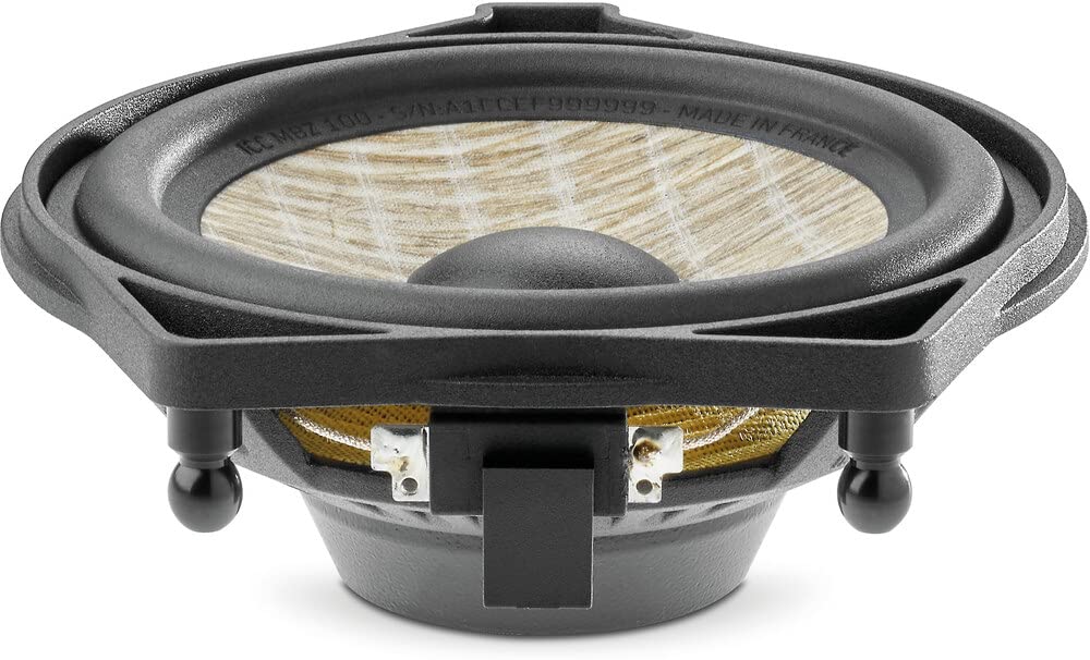 Amazon.com: Focal Inside ICC MBZ 100 4