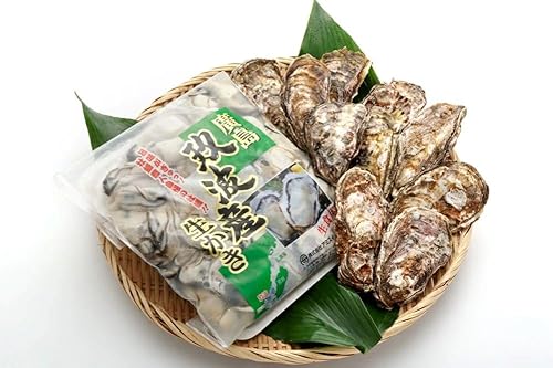アミスイ オレの牡蠣 広島県大竹市産 むき身&殻付 Aセット|朝どれ 生食用 かき カキ 大粒 生かき 生がき 生カキ 生ガキ 殻付き むき身 剥き身 むきかき 殻むき不要 便利 貝 シーフード オイスター 海産物 海鮮 魚介類 海の幸 海のミルク [1882]