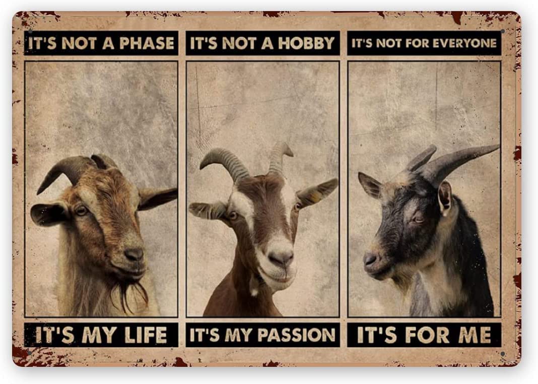 Nuboxx Yt_1 Goat Art Wall Decor Goat Signs Decor Goat Metal Sign Goat Signs For Outside Barn Goat Decorations Outdoor Goat It's Not A Phase Horizontal Poster Goat Posters For Wall,Metal Sign 8X12 Inch