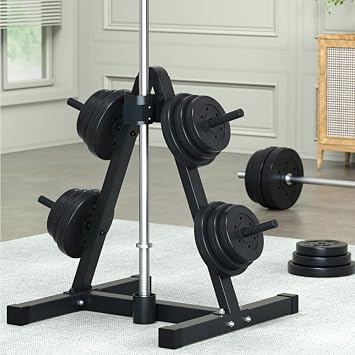 Dumbbell Storage Rack, Weight Plate Rack, Home Barbell Rack Dumbbell Rack Storage Rack Weight Plate Storage Racks Exercise Equipment Storage