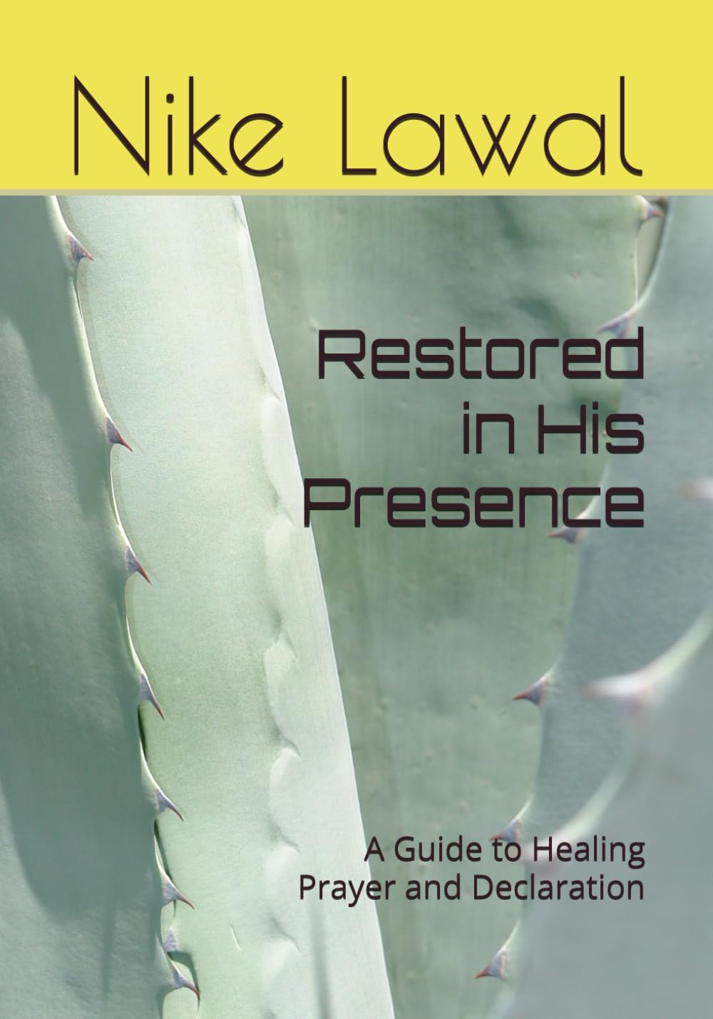 Restored in His Presence: A Guide to Healing Prayer and Declaration