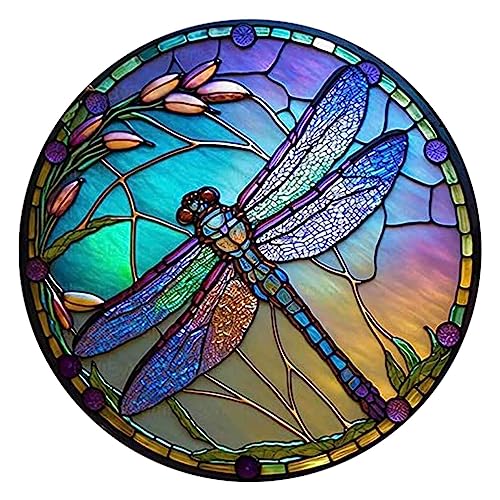 Dragonfly Suncatcher, Wall Art Dragonfly Wall Decorations with Openwork Pattern for Garden Wall Decorations Outdoor Hanging Home Decoration Wall Art, Stained Acrylic Window Panel(A)