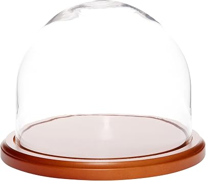 Plymor 8" x 6.5" Glass Display Dome Cloche Walnut MDF Base