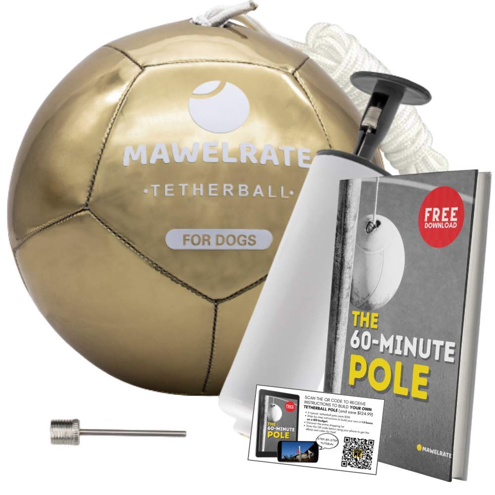 Buy MAWELRATE Durable Tetherball for Dogs Perfect Heavy Duty Outdoor