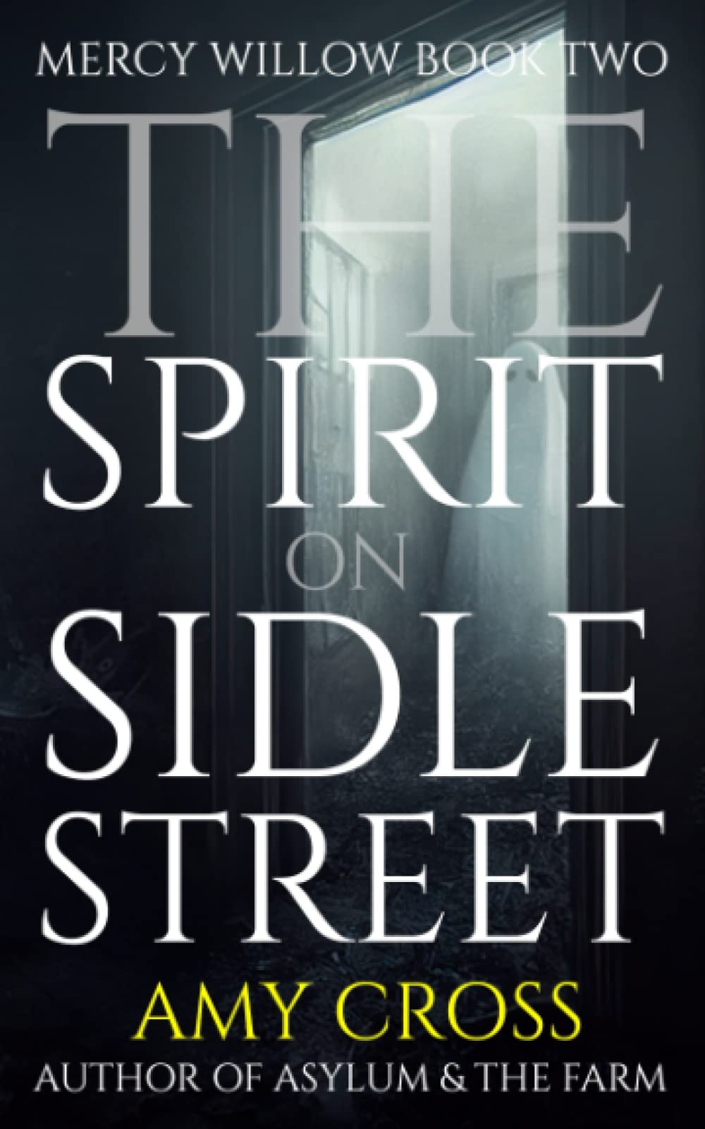 The Spirit on Sidle Street (Mercy Willow)