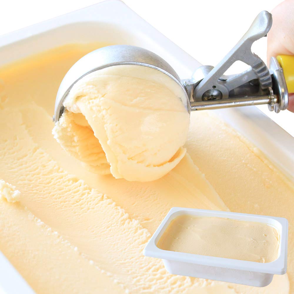 北国からの贈り物 アイスクリーム 業務用 クリームチーズ 北海道 くりーむ童話 手づくり アイス