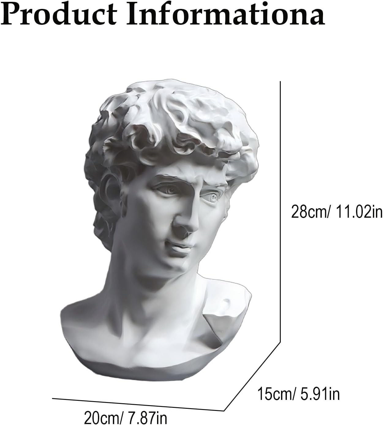 Art Decor Sculpture Bust Set, Classical David and Thinking Woman Statue, 12 Inch Handcrafted Collectible Resin Figurine for Home Décor, Office Bookshelf or Gift for Art Lovers,B
