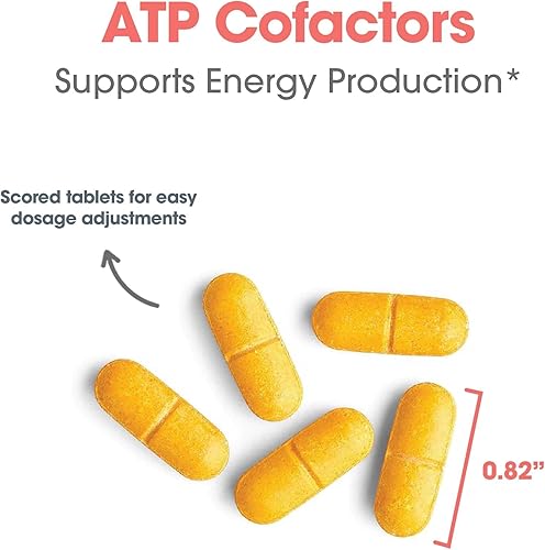 Miniatura 5 de Optimox Suplemento ATP Cofactors – Complejo de vitamina B para hombres y mujeres, vitamina B2, vitamina B3, 100 mg de riboflavina, 500 mg de