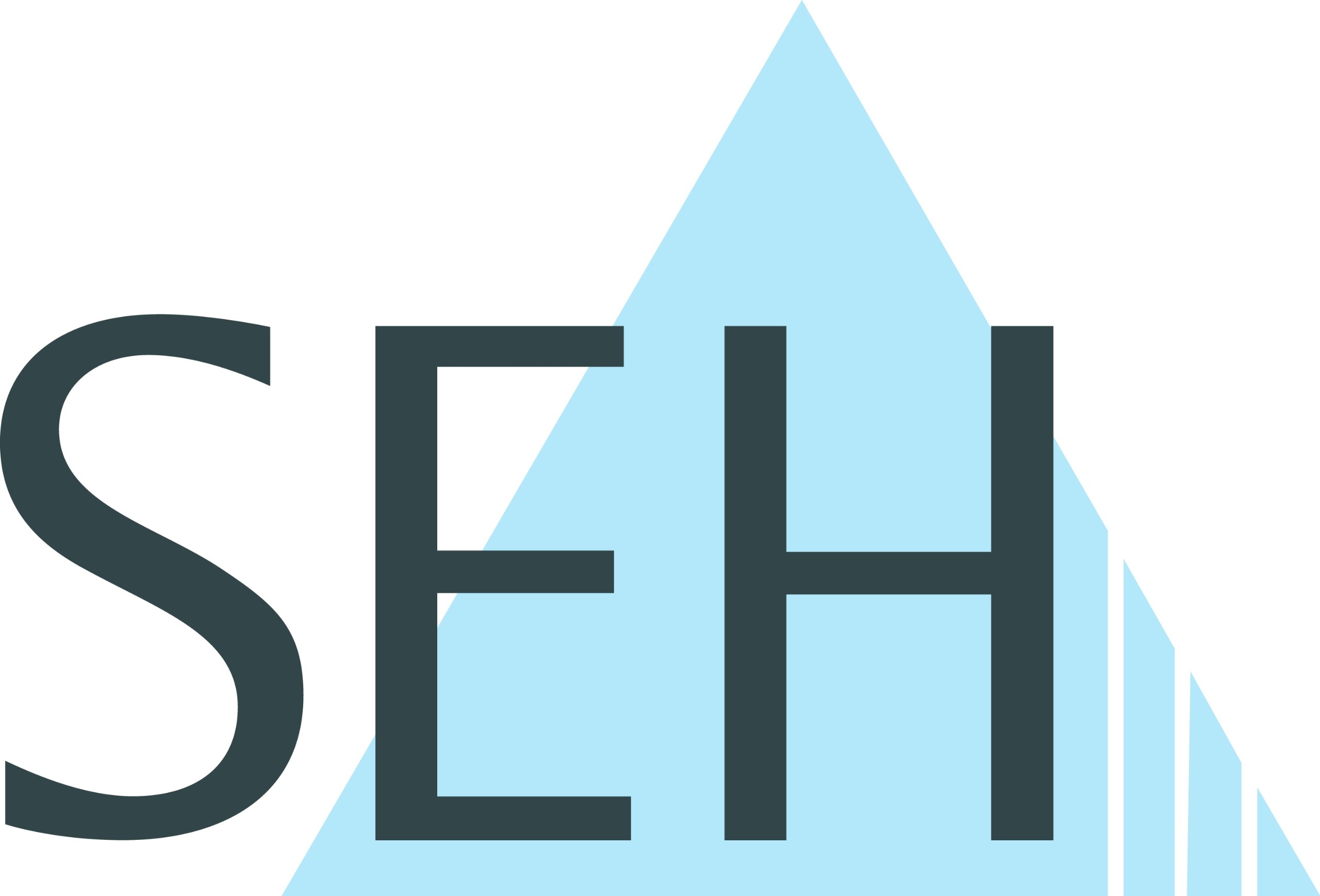 Seh FC1126 - Print Server - Black