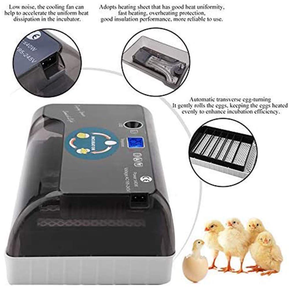 Macchina per incubatrice di pollame Completamente Automatica a 12 Uova, Rotazione Automatica e Controllo della Temperatura, allevatore di Piccole incubatrici digitali per Pollo da cova