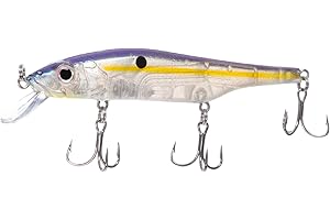 Bill Lewis Shadow Rap Deep - Suspending Jerkbait 120