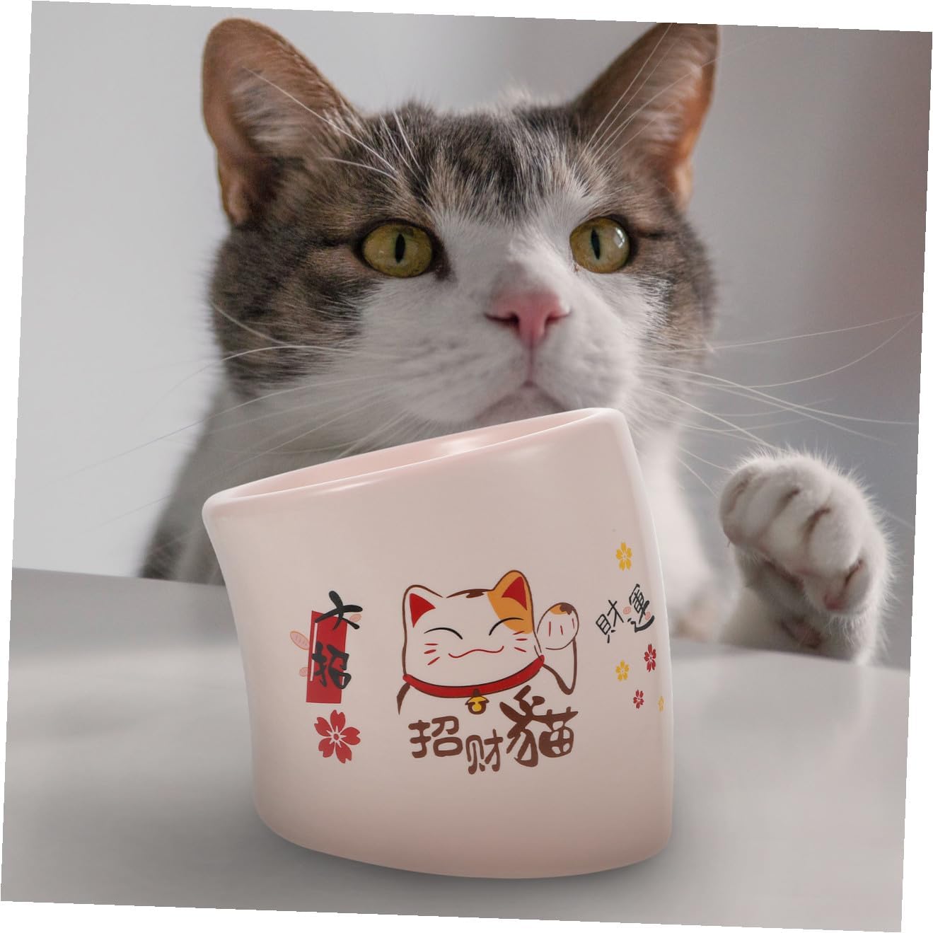 Ceramic Cat Bowl Non-Slip Raised Feeding Dish with Puppy Base Pink Elevated Pet Drinking Bowl for Kitten and Cat Feeding