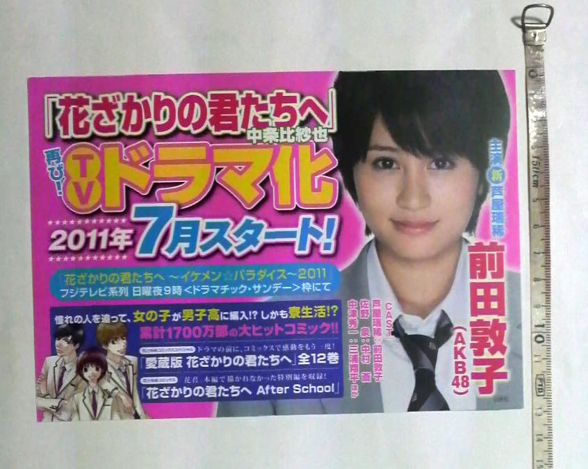 Amazon.co.jp: 花ざかりの君たちへ 前田敦子 A3判ポスター2枚、B6判