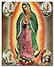 Virgin Mary Our Lady Of Guadalupe Mexican la virgen de Art Print Poster (16x20)