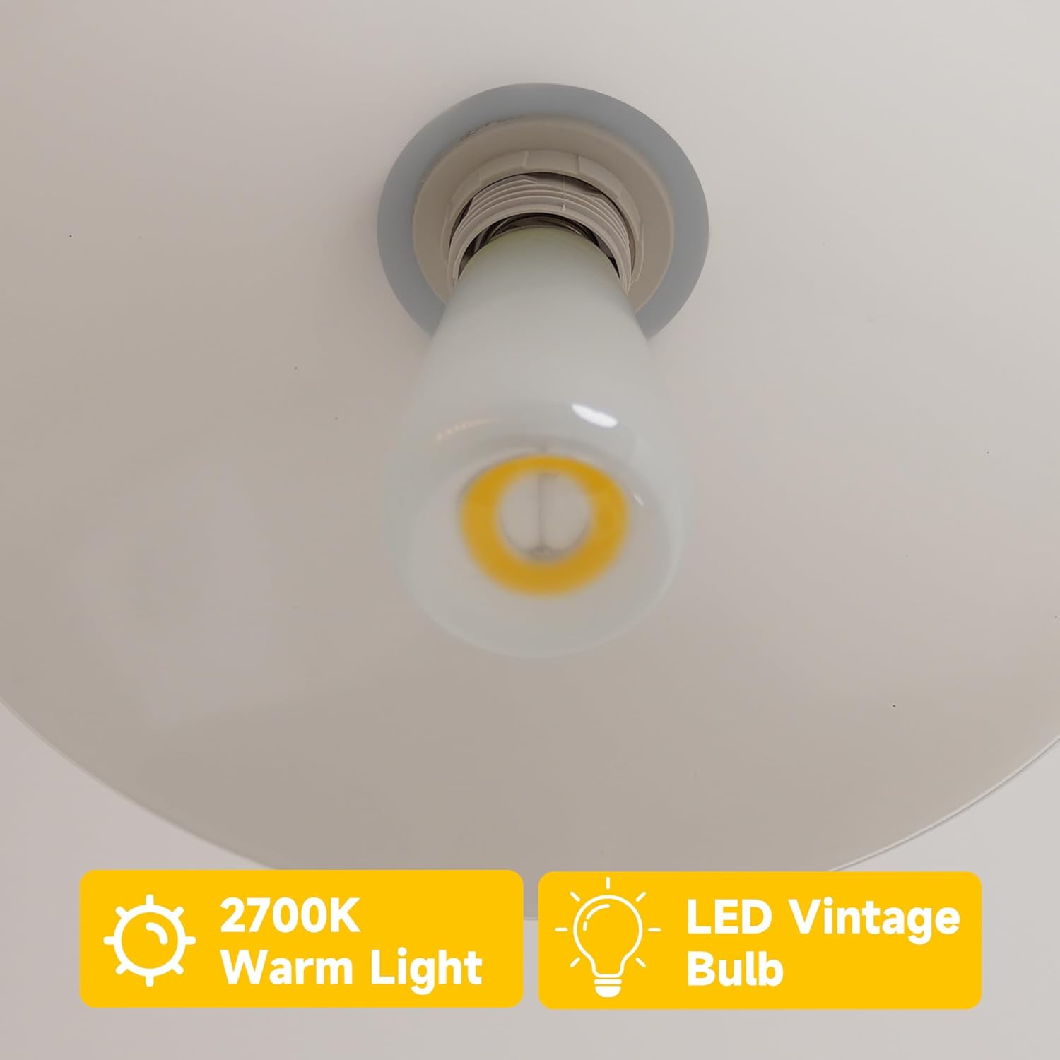 AUGE LIGHT 4Pack S19 Dimmable Vintage Light Bulb, 90degree Lens, 800Lumens 2700k with high CRI>90, Antique Glass led Bulb for Art Gallary, Bedroom, Dinning Room, Vanity Room (S19)