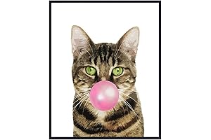 Funny Tabby Cat Bubblegum Wall Art for Cat Lovers