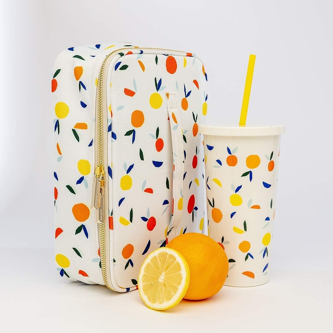 60% Off Discount Kate Spade New York Insulated Tumbler with Reusable Straw, 20 Ounce Travel Cup, Citrus Twist