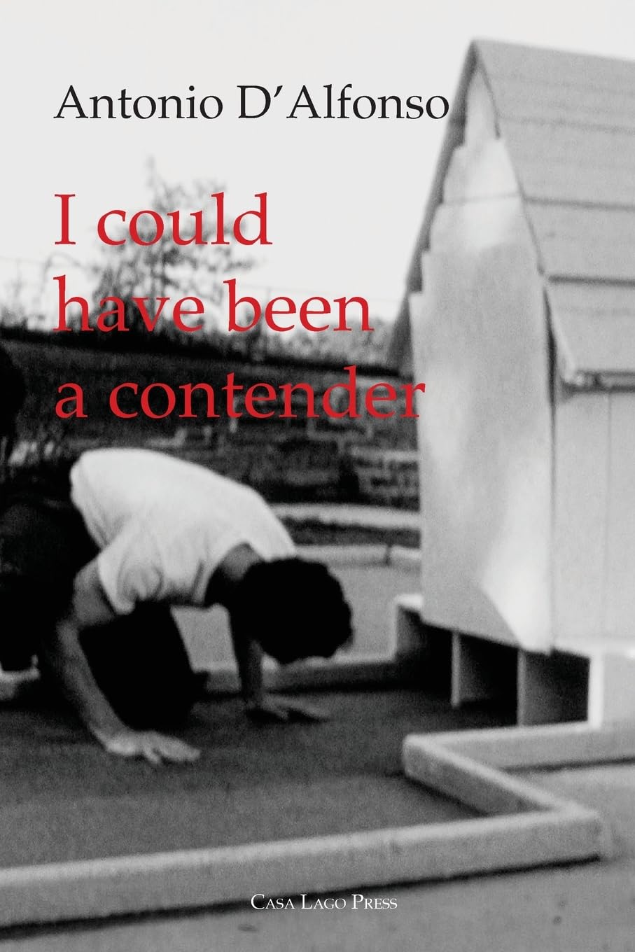 I Could Have Been a Contender l'essai critique pour cinéphiles exigeants