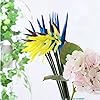 Product Photo 7