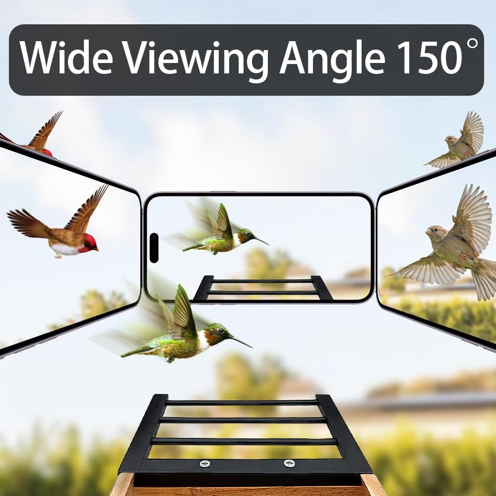 Smart Bird Feeder with Solar Camera - AI Bird 1000+ Species Recognition, 2K HD Live Stream, Real-Time Notifications & Video Recording for Outdoor Birdwatching