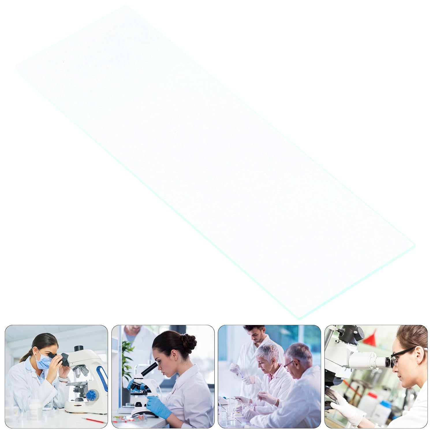 Glass Laboratory Microscope Slides 100Pcs for Plant and Insect Samples