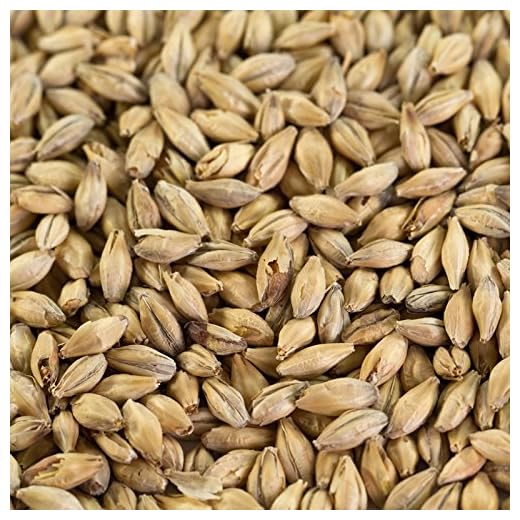 Malt Pale Ale de Weyermann pour bières de camp et ales, 1 kg, EBC 5,5-7,5