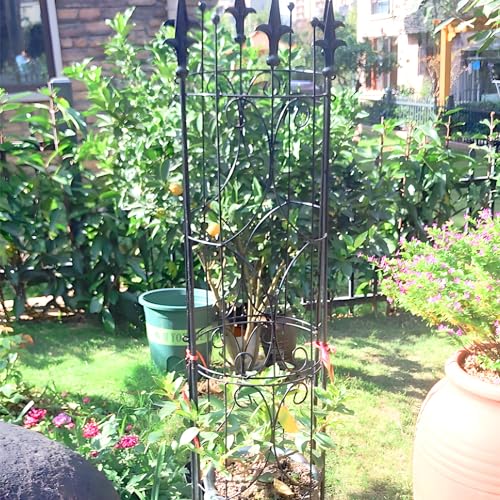 Thealyn 3JPT-001 Garden Trellis 2 Pack 72'' H X 12'' W Metal Plant Trellis Indoor/Outdoor Metal Garden Trellis Plant Trellis thumb #4