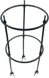 CIYODO 1 Conjunto De Prateleira De Plantas Para Escalada Interna Prateleira De Plantas Decorativa Suporte De Escalada De Plantas Videira Prateleira De Plantas Plantas De Flores