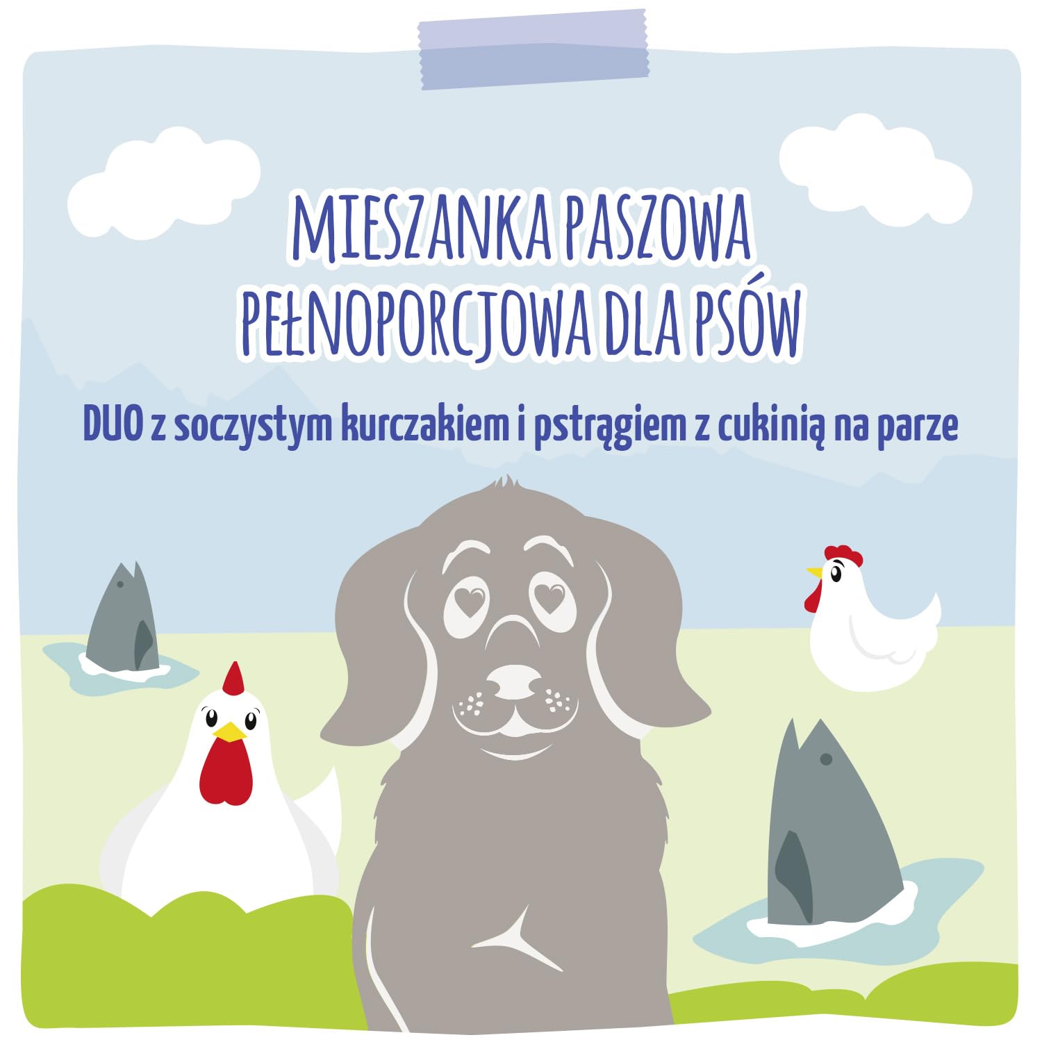 MjAMjAM - Mokra karma premium dla psów - DUO soczysty kurczak i pstrąg z cukinią gotowaną na parze, 6 opakowań (6 x 800 g), bezzbożowa z dodatkowym mięsem