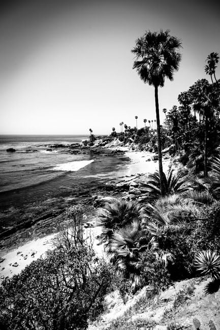 【Laguna Silhouette 】lithograph直筆サイン・EA版 Amazon.com: 20x30 Inch Laguna Beach: Unframed Photo Paper Print