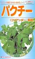 Amazon | カネコ種苗 パクチー (コリアンダー・香菜