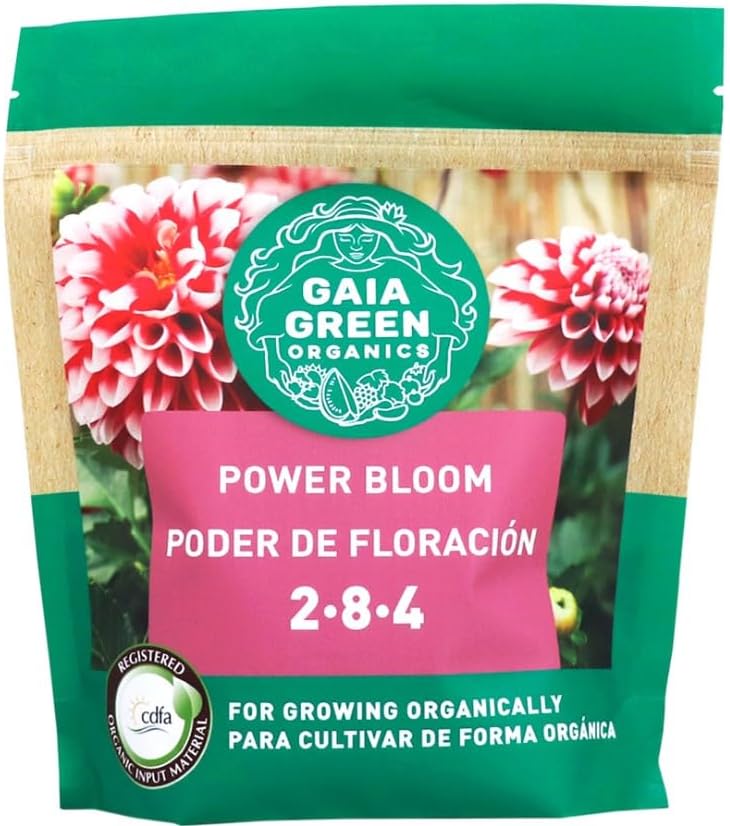 GG Power Bloom, 500 Gram