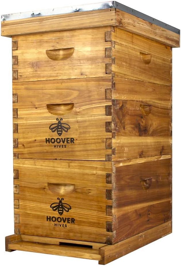 Hoover Hives Complete 8-Frame Beehive Kit – Wax-Coated Fir Wood, Includes 2 Deep Brood Boxes, 1 Medium Super, Langstroth Frames & CellTech Foundations – Durable, Weather-Resistant Beekeeping Supplies