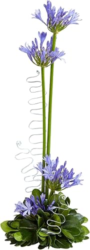 Miniatura 6 de Floral Supply Online - Cuencos verdes de doble diseño para arreglos florales, centros de mesa y decoración navideña. (10 pulgadas verde, 12 cuencos)