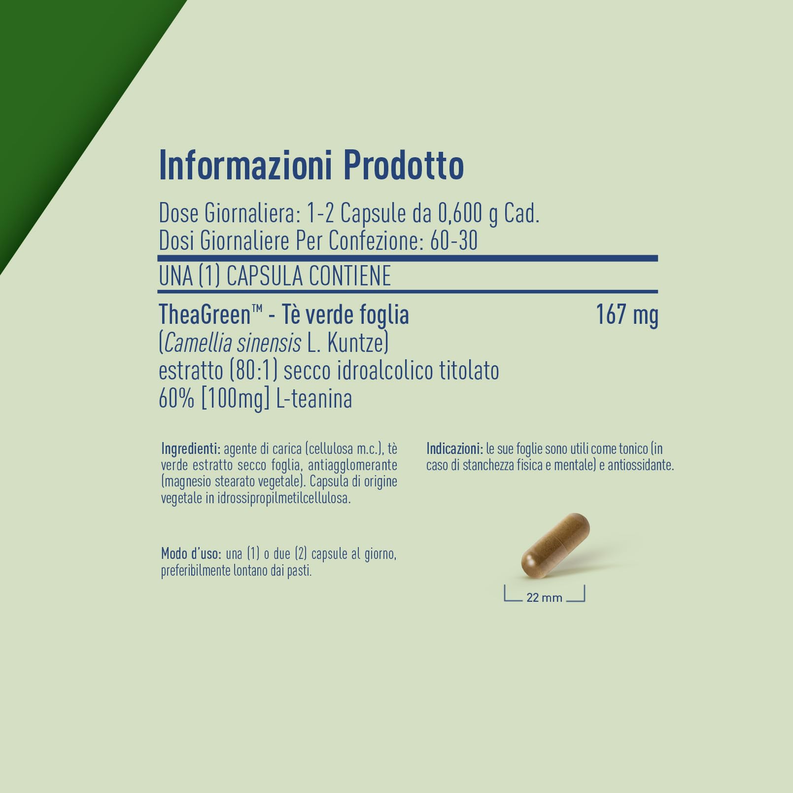 LongLife® L-Theanine | Con L-teanina da tè verde 100mg | Rilassamento e concentrazione | Antiossidante | Fino a 2 mesi di trattamento | Vegano e senza glutine